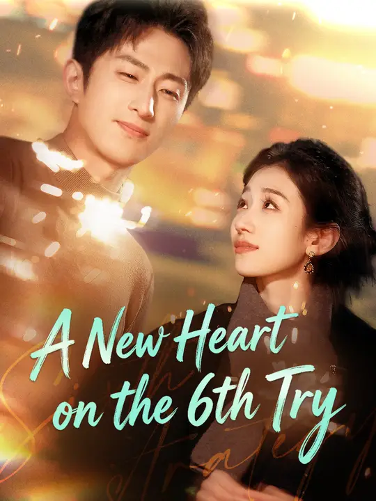 A New Heart on the 6th Try poster