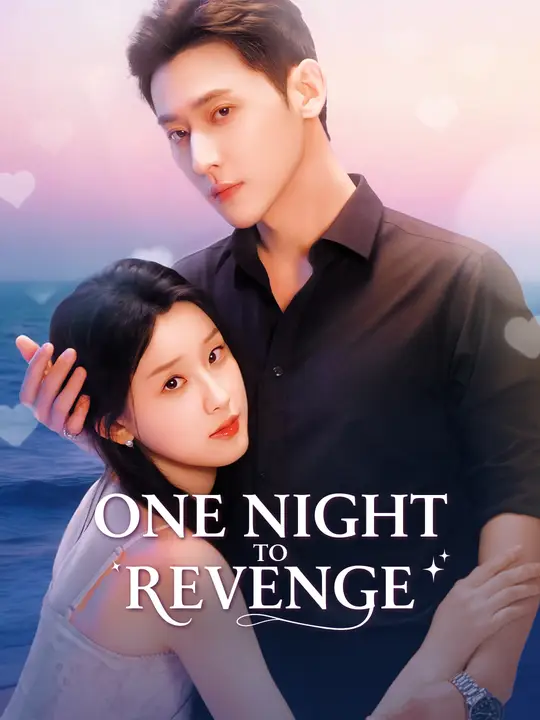 One Night to Revenge poster