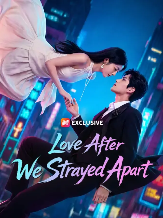 Love After We Strayed Apart poster