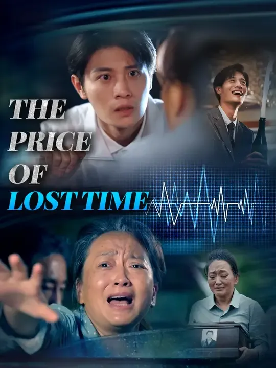 The Price of Lost Time poster