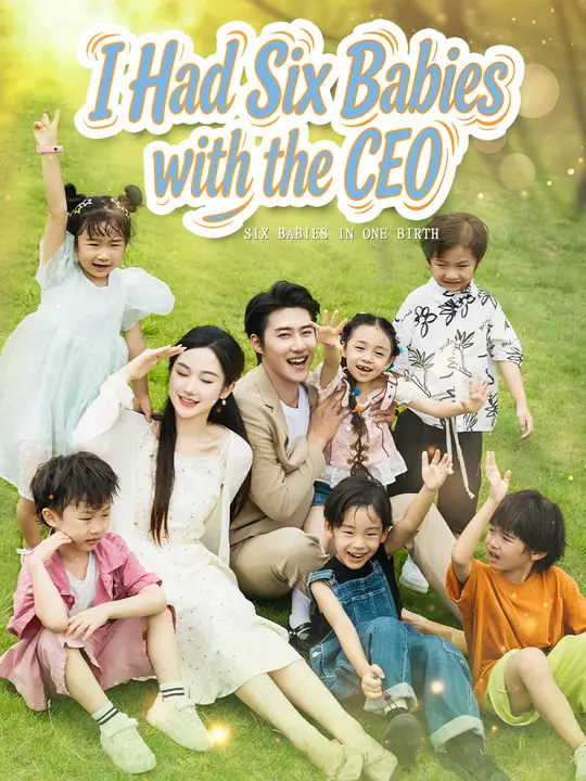 I Had Six Babies with the CEO poster