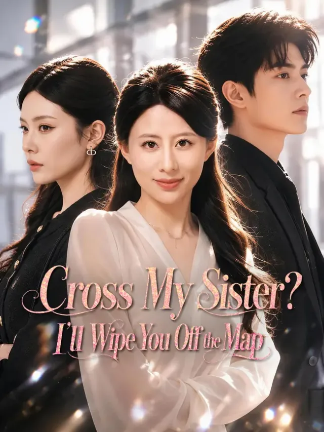She Destroyed Her Sister-In-Law poster