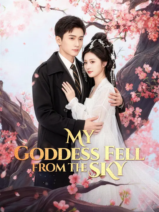 My Goddess Fell from the Sky poster