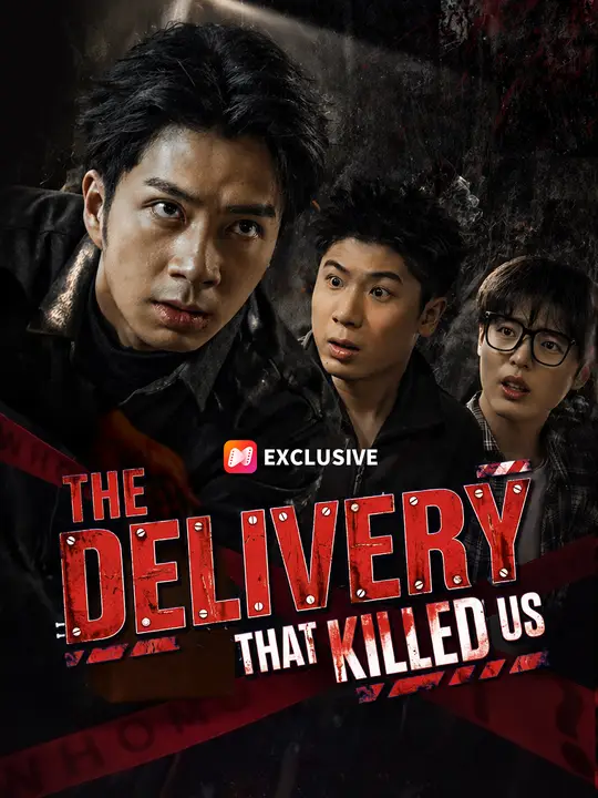 The Delivery That Killed Us poster