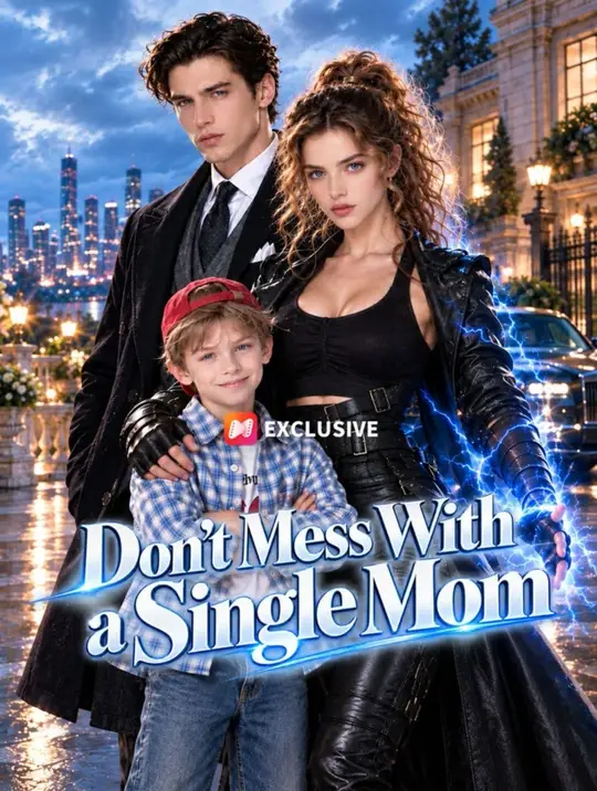 Don't Mess With a Single Mom poster