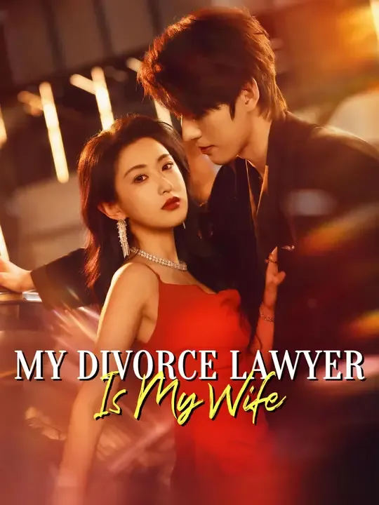 My Divorce Lawyer Is My Wife poster