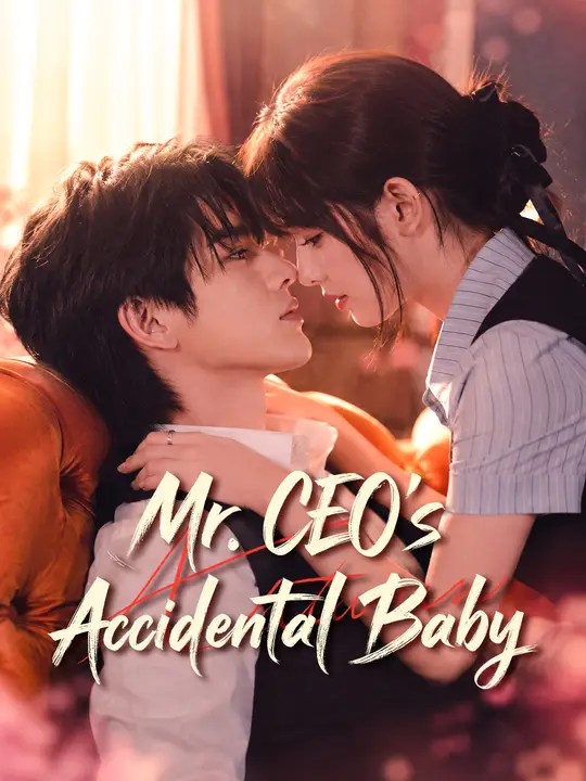 Mr. CEO's Accidental Baby poster