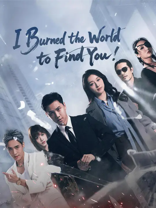 I Burned the World to Find You! poster