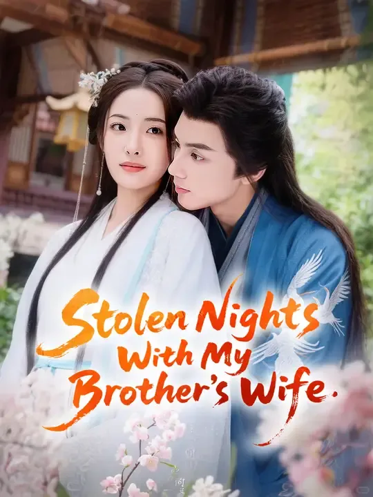 Stolen Nights With My Brother's Wife poster