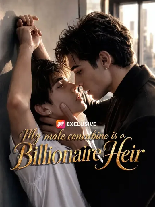 My male concubine  is a Billionaire Heir poster