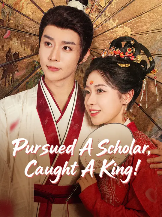 Pursued A Scholar, Caught A King! poster