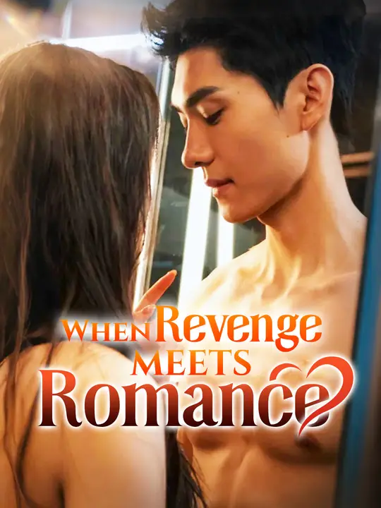When Revenge Meets Romance poster