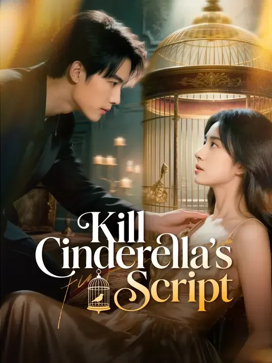 Kill Cinderella's Script poster
