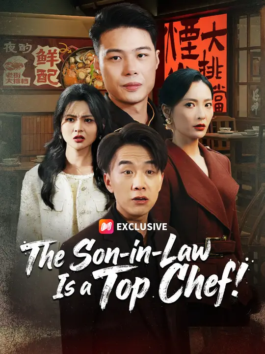 The Son-in-Law Is a Top Chef! poster