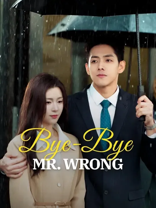 (Dubbed)Bye-Bye, Mr. Wrong poster