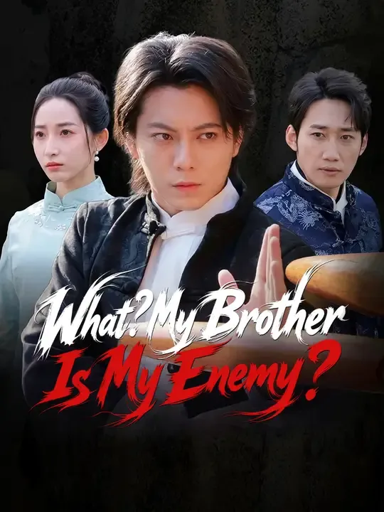 What? My Brother Is My Enemy? poster