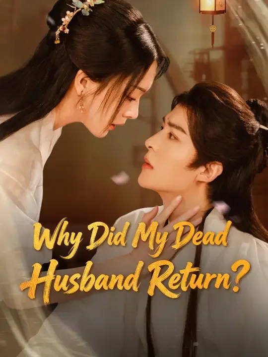 Why Did My Dead Husband Return? poster