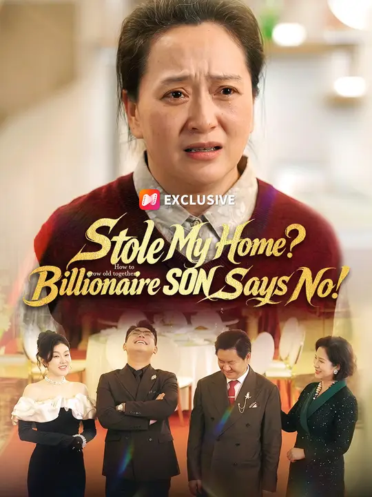 Stole My Home? Billionaire SON Says No! poster