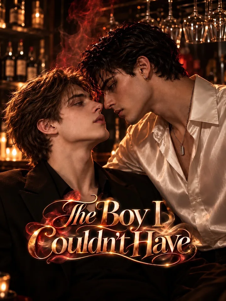 The Boy I Couldn't Have poster
