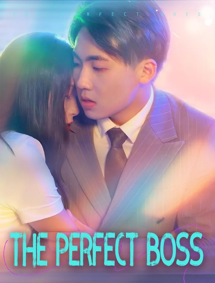 THE PERFECT BOSS poster