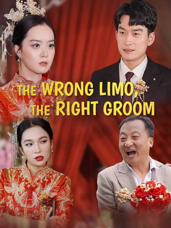 The Wrong Limo, The Right Groom poster